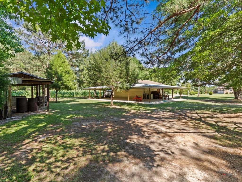32724 Bozeman Road Dozier, AL 36028 - Photo 5 of 59