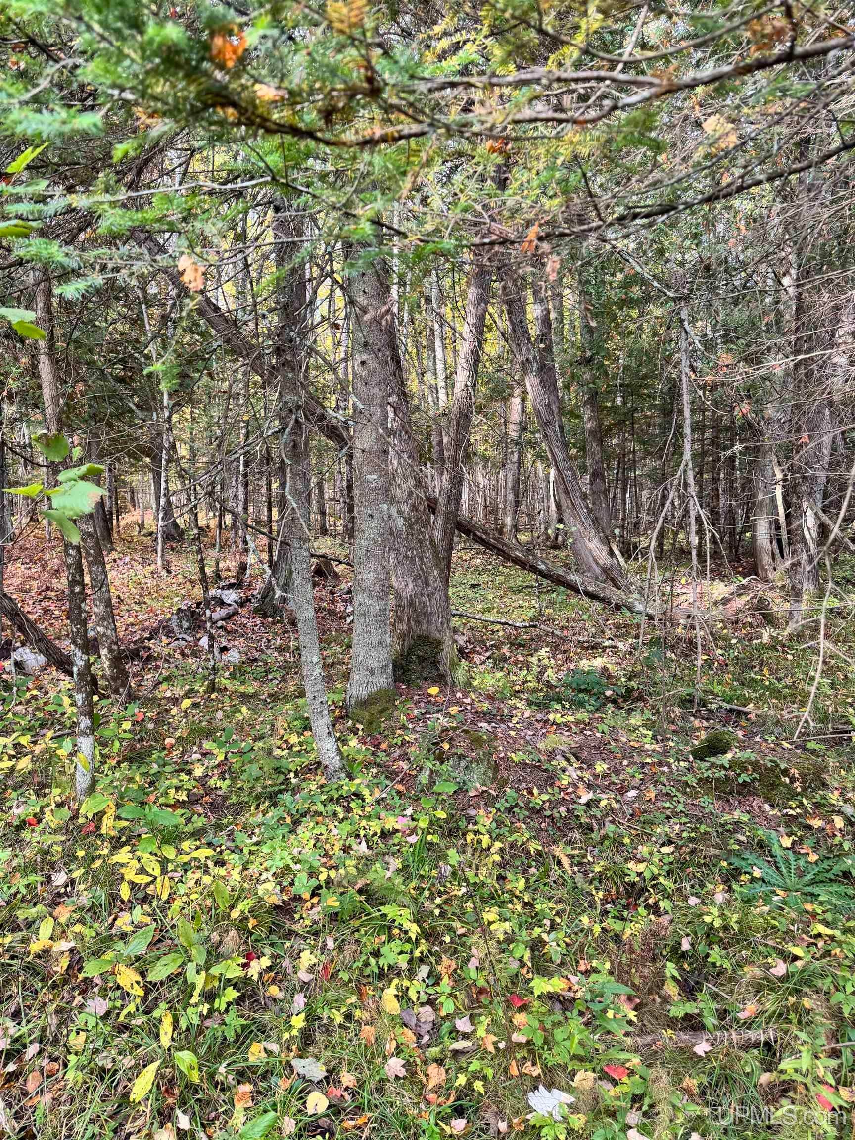 Tbd Tbd Off 26th Road Gladstone, MI 49837 - Photo 14 of 16 Gallery Image 14