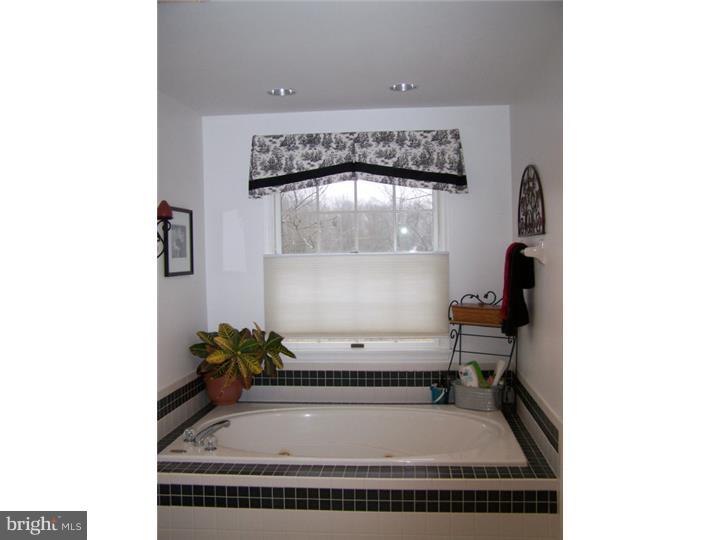 1748 Quarry Road Coopersburg, PA 18036 - Photo 18 of 24 Master Bathroom