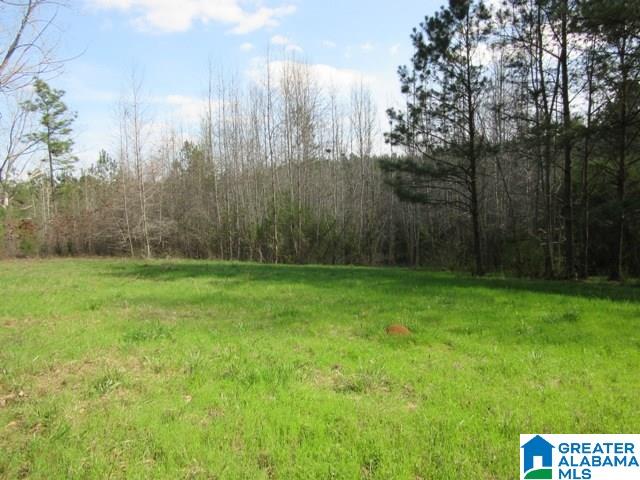 229 County Road, Unit 29 Thorsby, AL 35171 - Photo 20 of 23