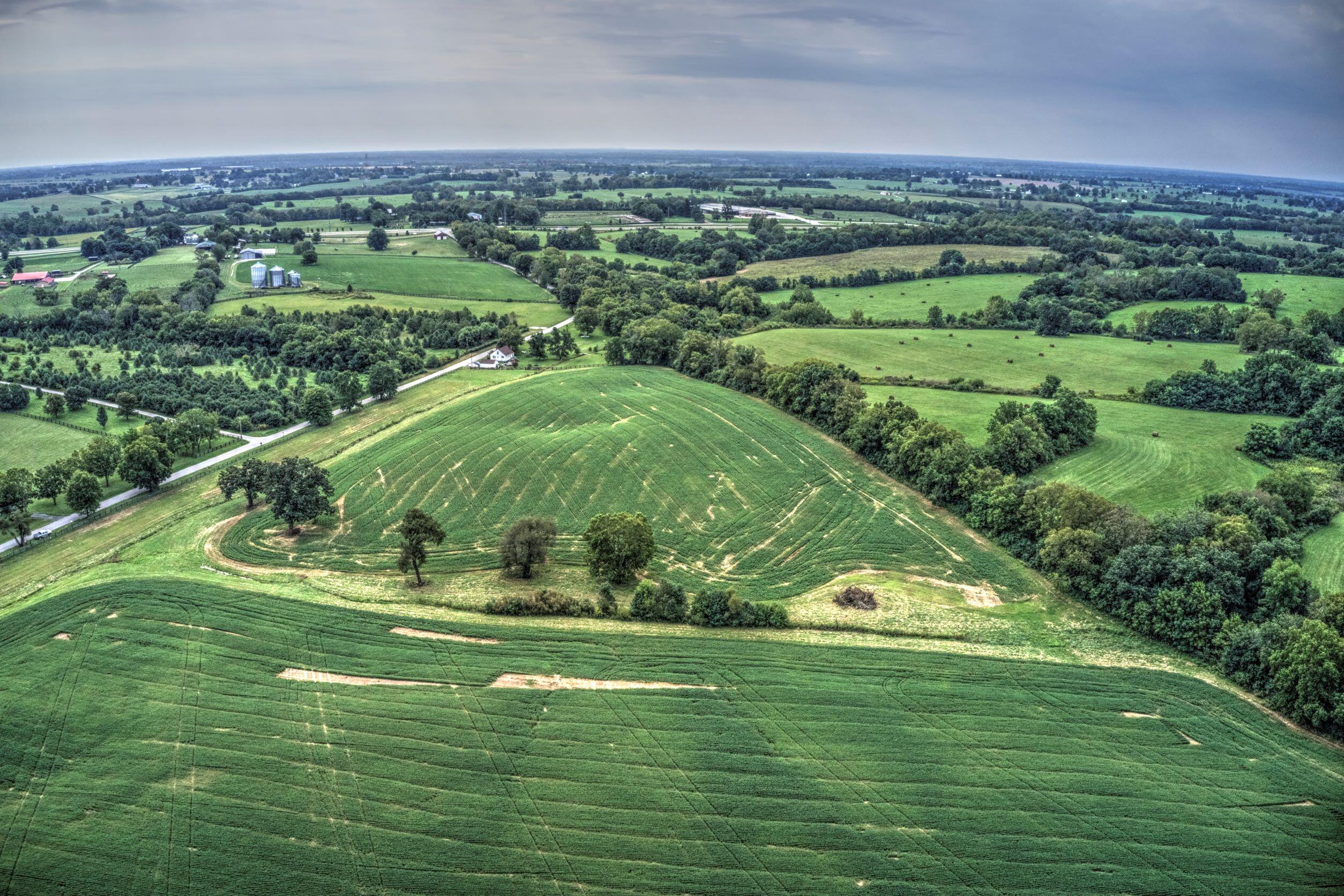 250 Redmon Road Paris, KY 40361 - Photo 5 of 22 DJI_0520 250 Redmon Road Paris resized