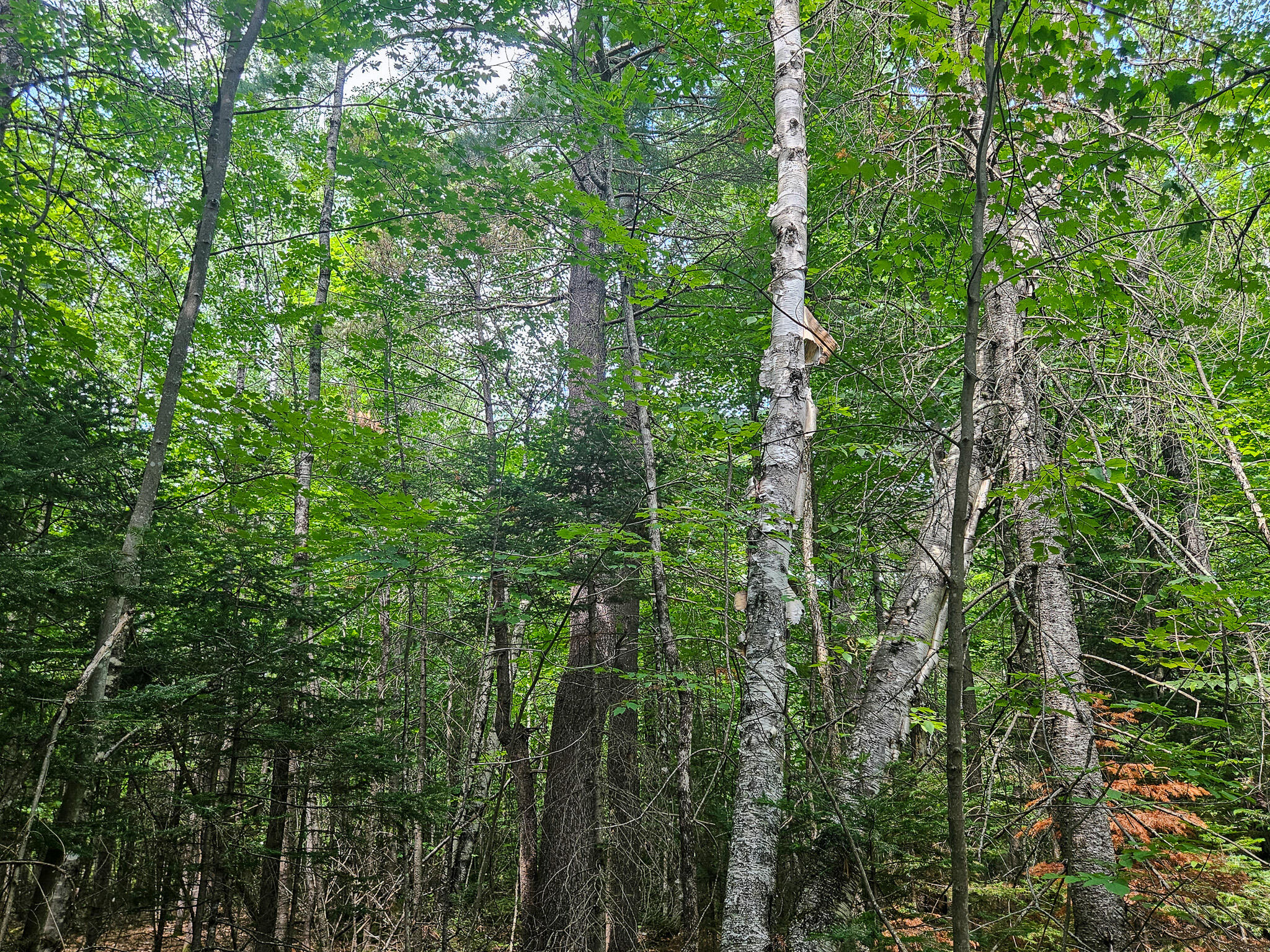 7 Hennessey Road Industry, ME 04938 - Photo 5 of 31 20260713_142058