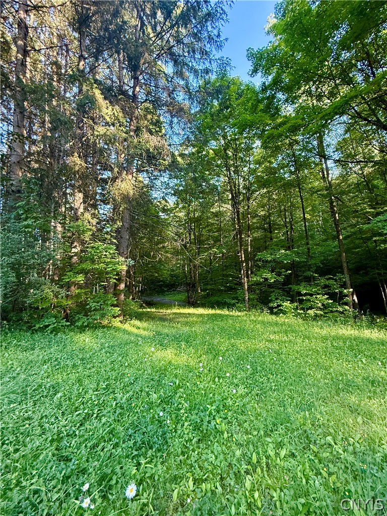 9191 Furman Mills Road Brookfield, NY 13460 - Photo 9 of 30