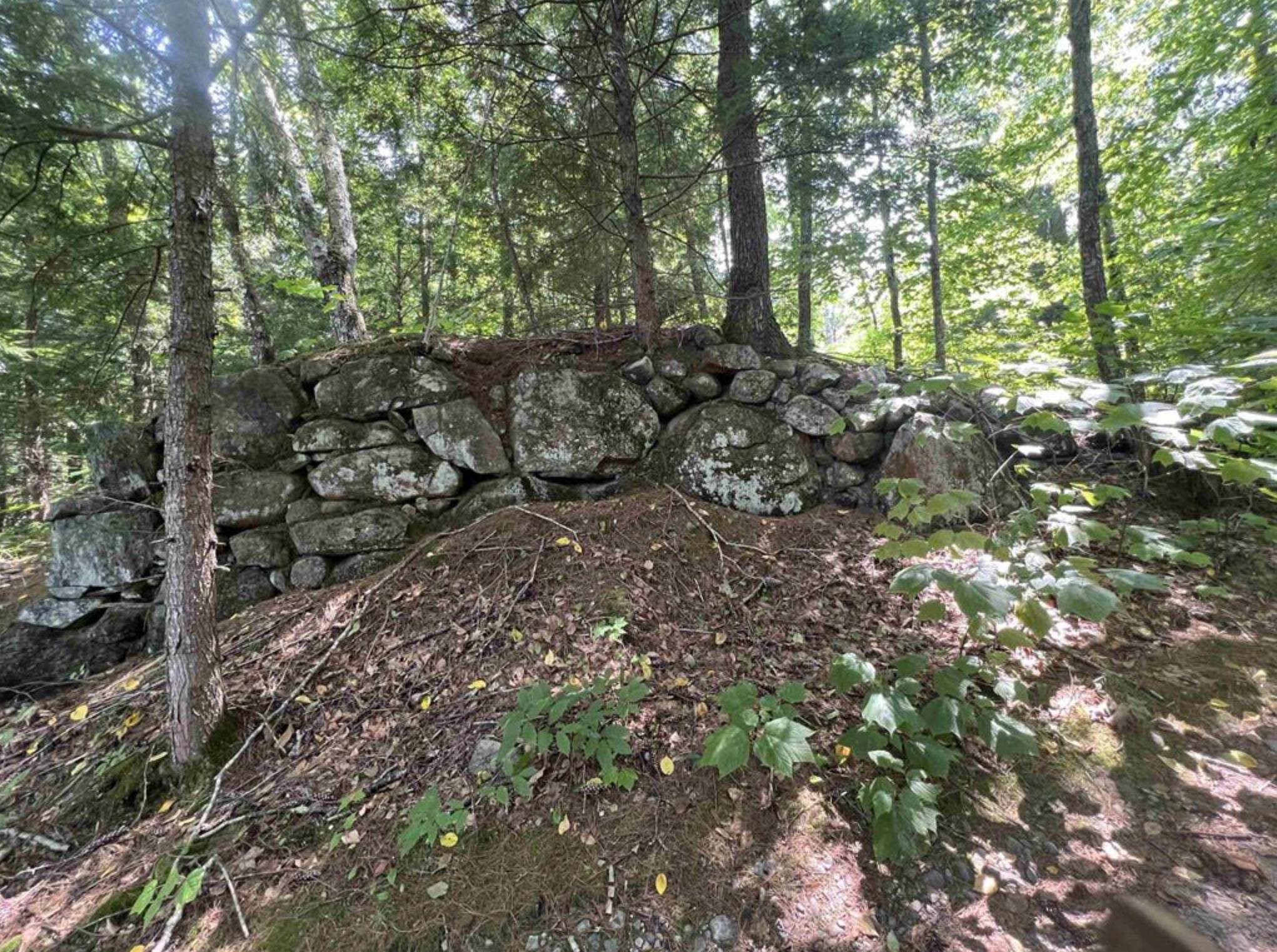 38 Chadwick Hill Road Webster, NH 03303 - Photo 4 of 20 Gallery Image 4