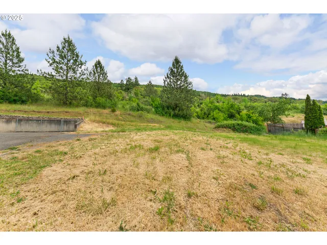a view of a yard with an outdoor space