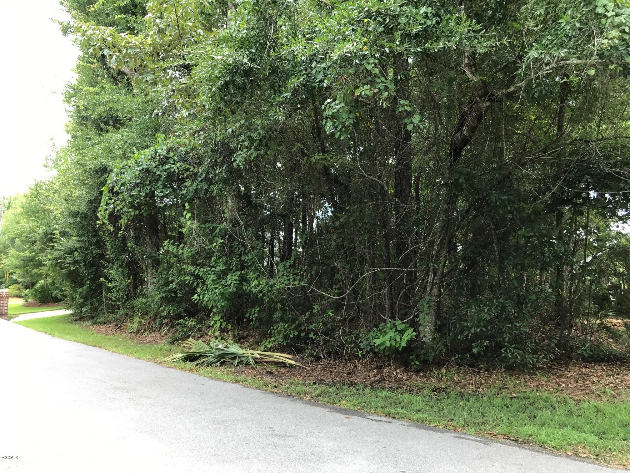 STREET VIEW 7 17