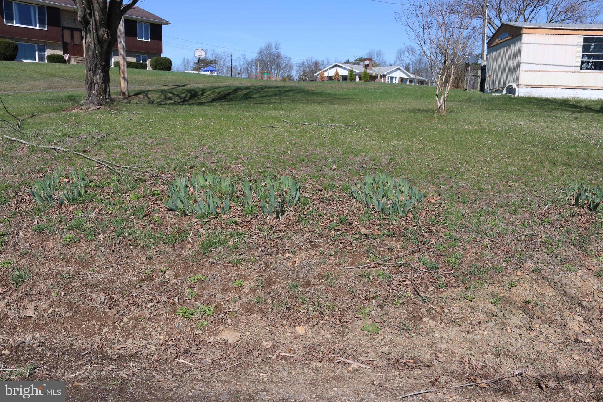 880 Tom Cox Road Petersburg, WV 26847 - Photo 11 of 16