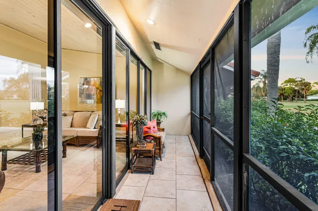 a balcony view with a potted plant