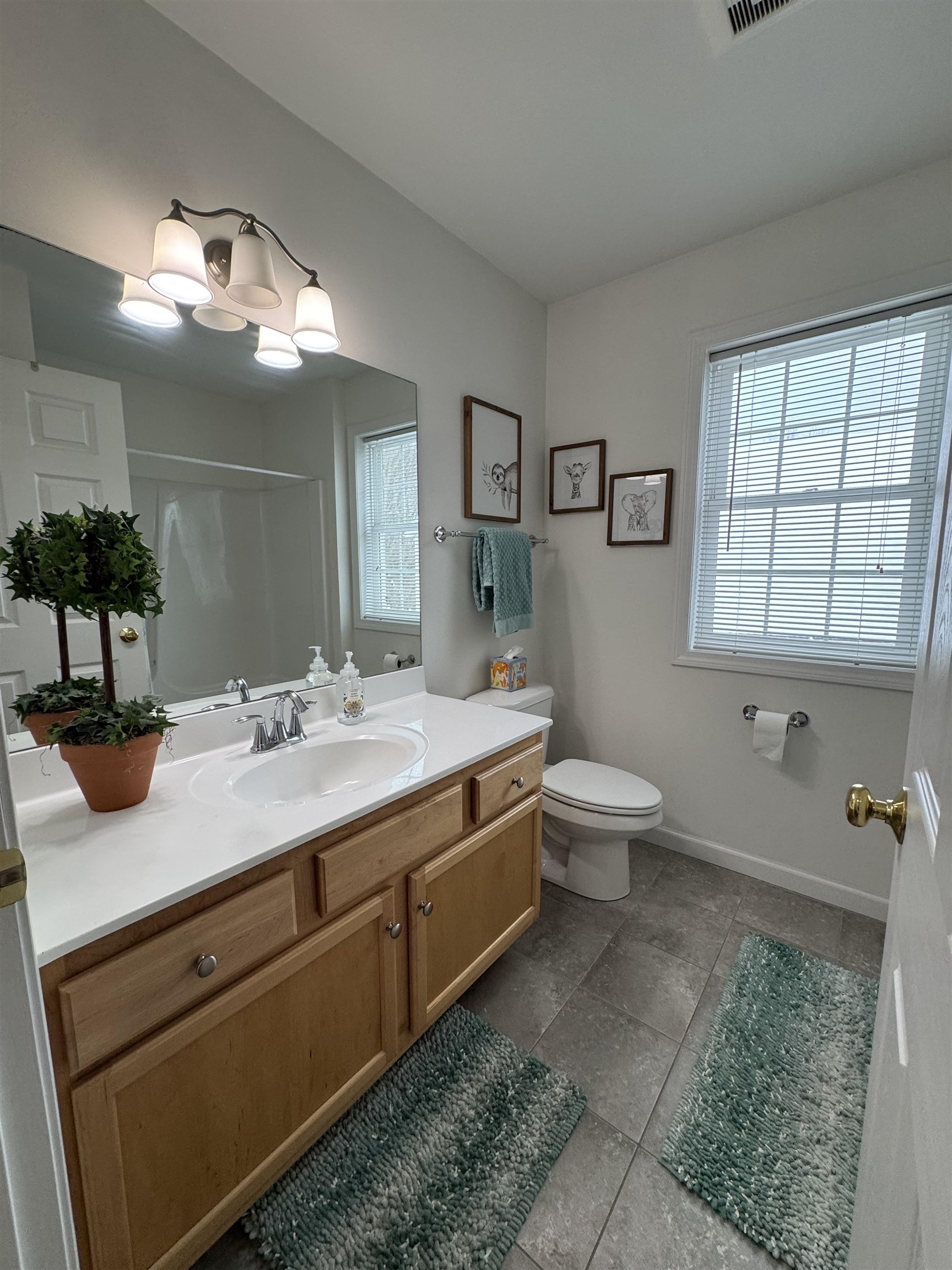 20 Briar Lane Colchester, VT 05446 - Photo 16 of 23