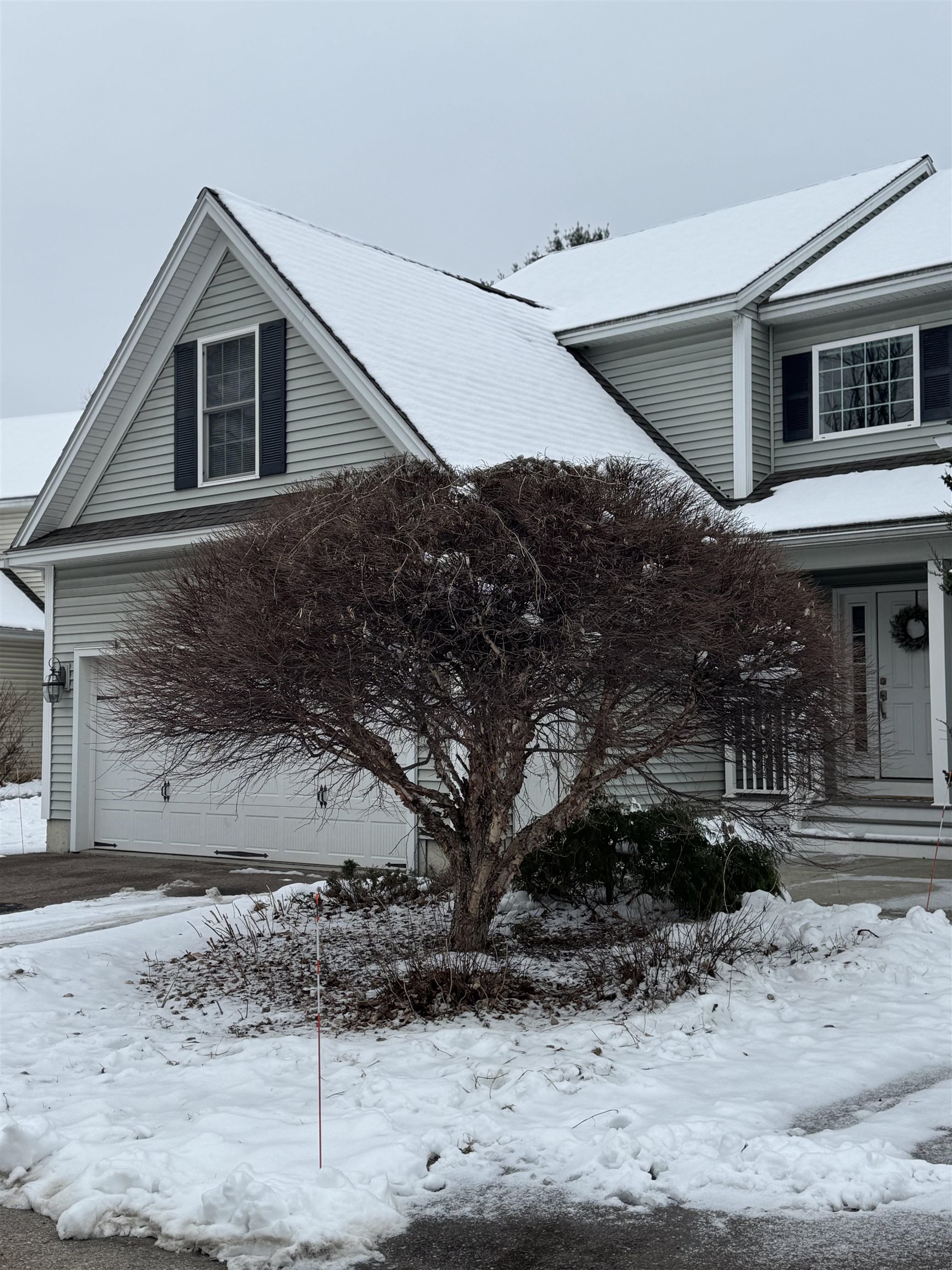 20 Briar Lane Colchester, VT 05446 - Photo 3 of 23