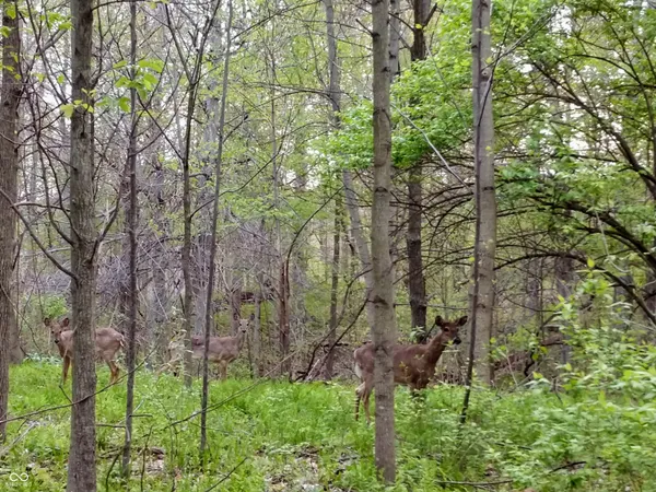 $12,000 | Lot 253 Ottawa Circle, Crawfordsville, IN 47933