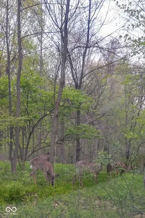 $12,000 | Lot 253 Ottawa Circle, Crawfordsville, IN 47933