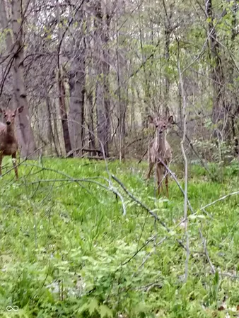 $12,000 | Lot 253 Ottawa Circle, Crawfordsville, IN 47933