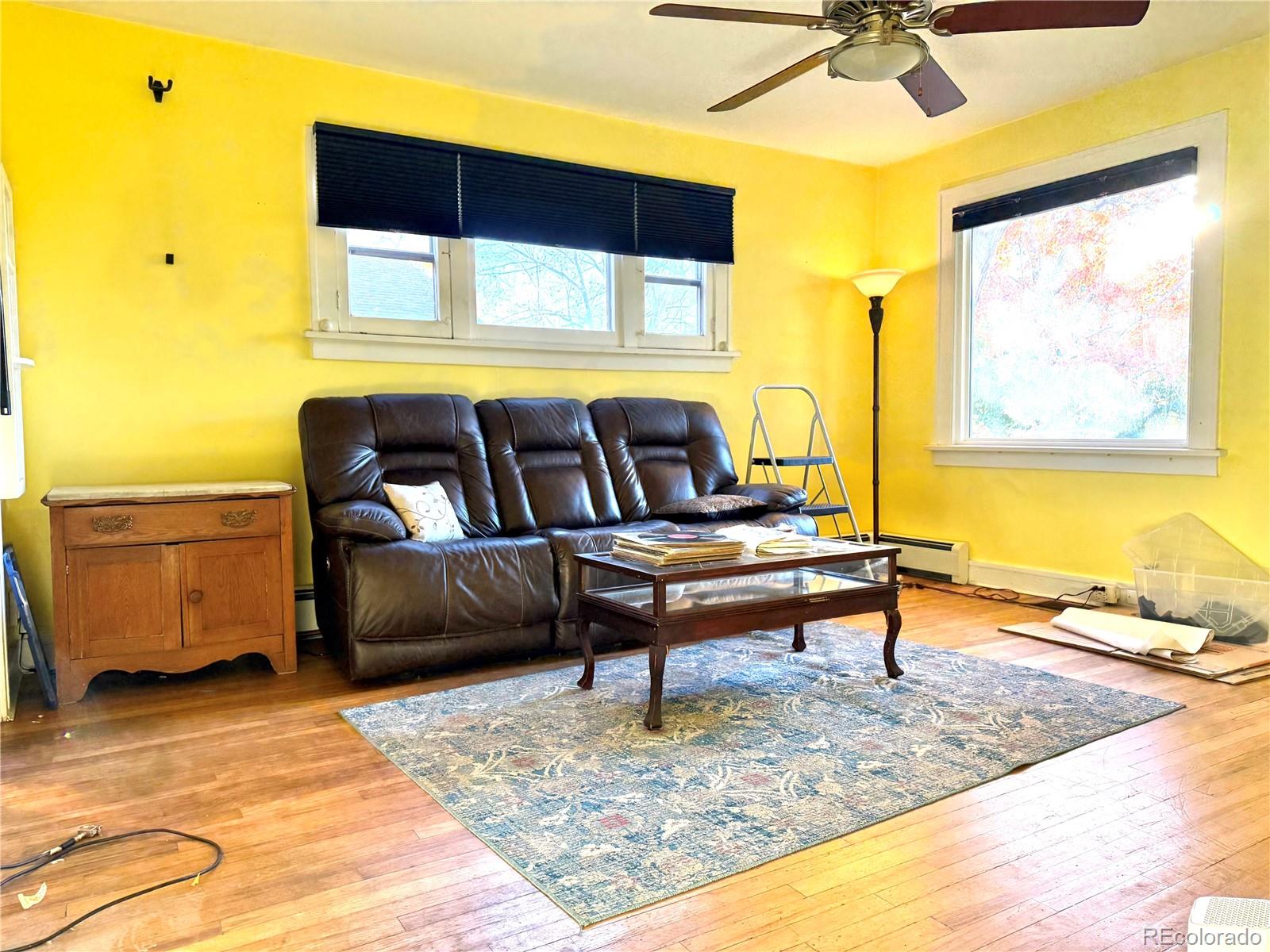 1440 South Race Street Denver, CO 80210 - Photo 14 of 17 a living room with furniture and a rug