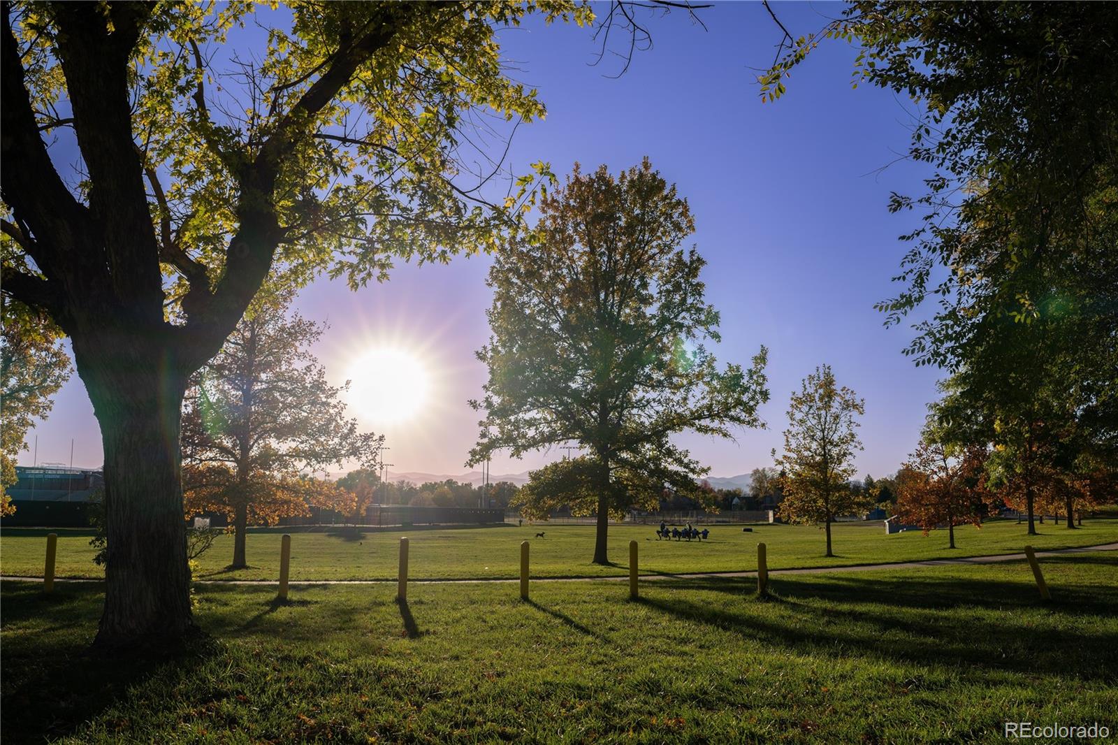 1440 South Race Street Denver, CO 80210 - Photo 6 of 17 a view of park with trees