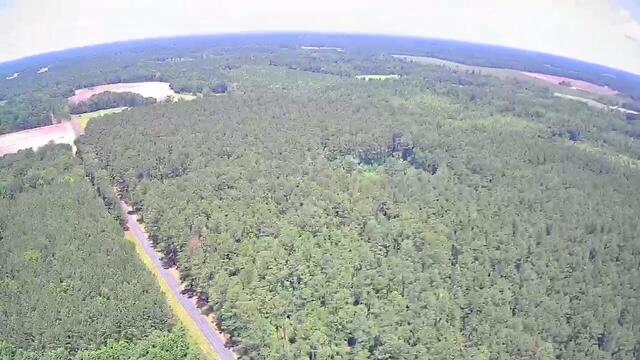 0 Nursery Road Reevesville, SC 29471 - Photo 11 of 11 0 Nursery 1