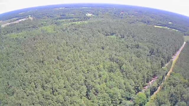0 Nursery Road Reevesville, SC 29471 - Photo 7 of 11 0 Nursery 5