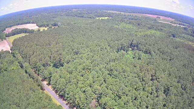0 Nursery Road Reevesville, SC 29471 - Photo 9 of 11 0 Nursery 3