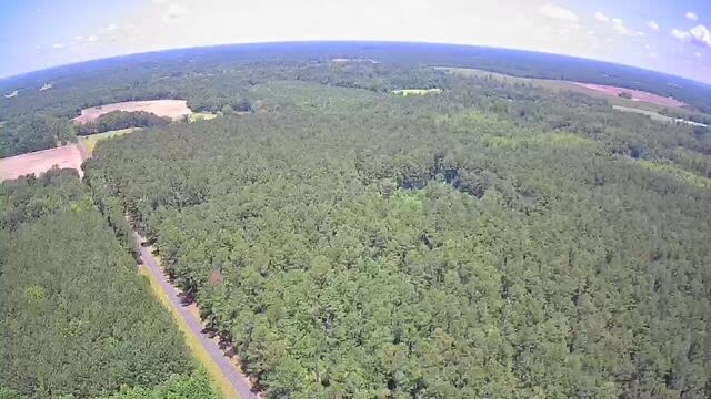 0 Nursery Road Reevesville, SC 29471 - Photo 10 of 11 0 Nursery 2
