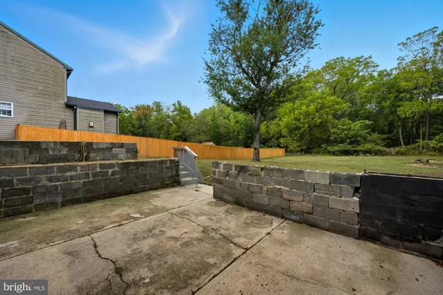 a view of a tree in a yard