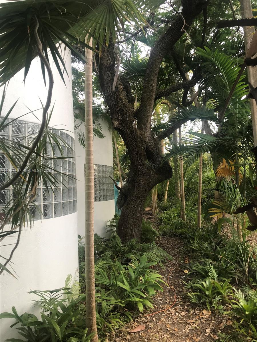 3151 Freeman Street Miami, FL 33133 - Photo 19 of 20 a backyard of a house with lots of green space