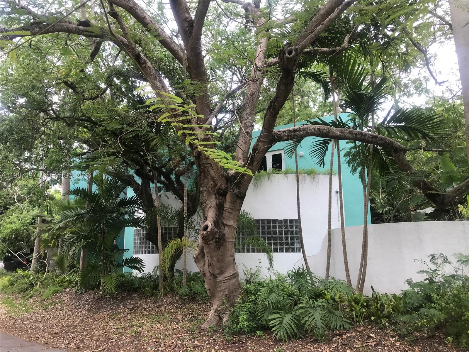 3151 Freeman Street Miami, FL 33133 - Photo 2 of 20 a view of a yard in front of a house with a tree