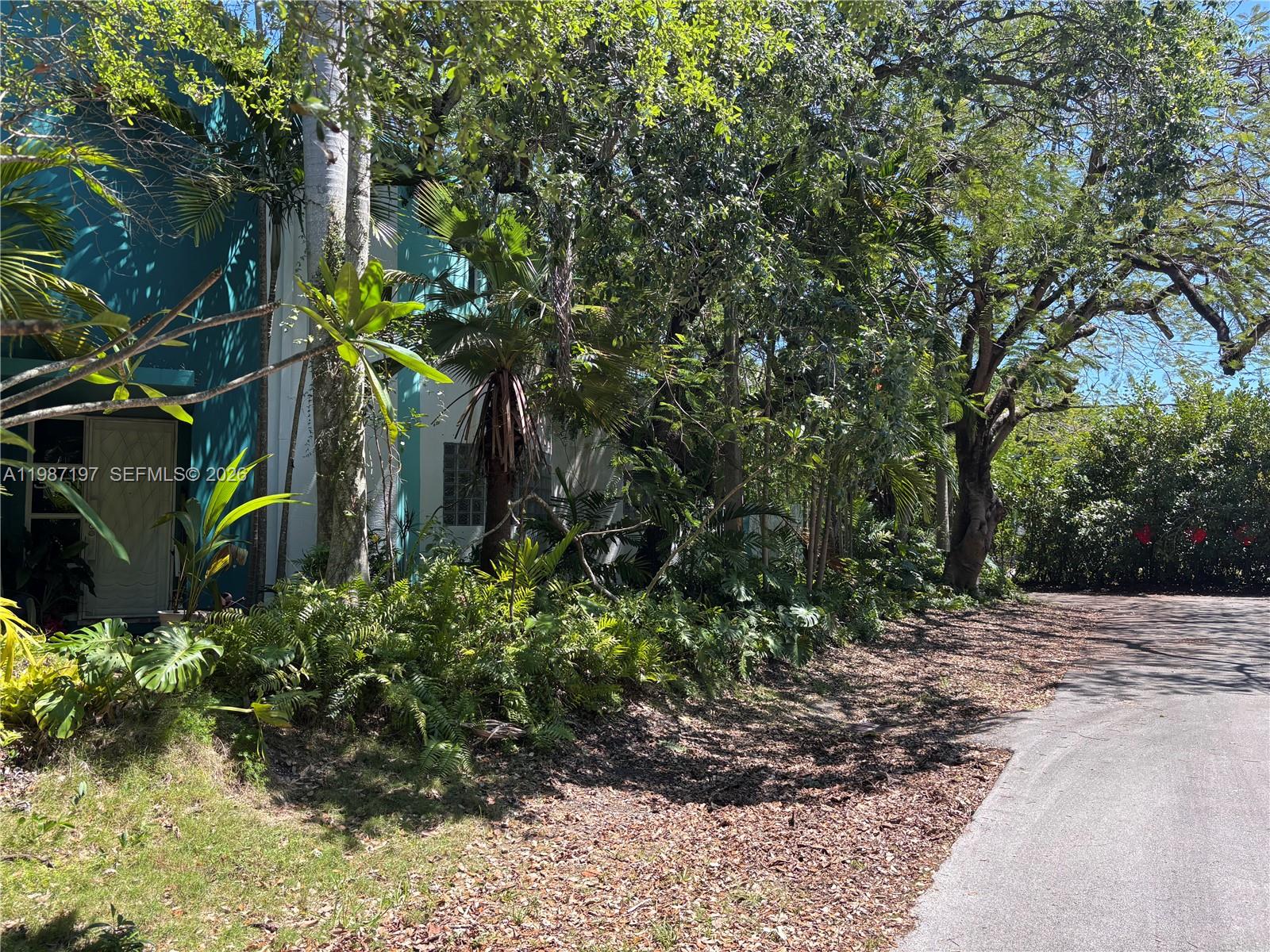 3151 Freeman Street Miami, FL 33133 - Photo 3 of 20 a plant that is in middle of garden