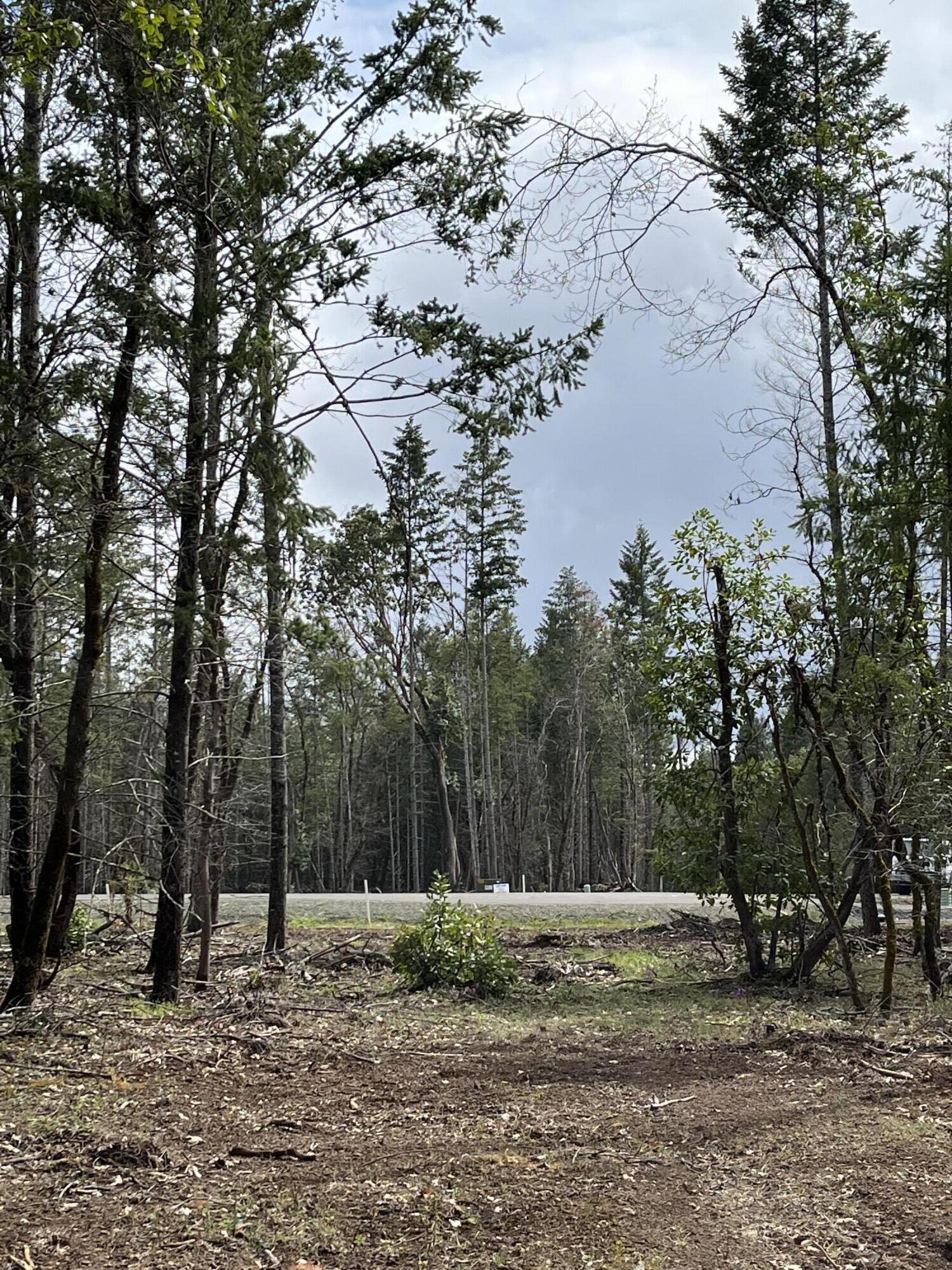 Trees