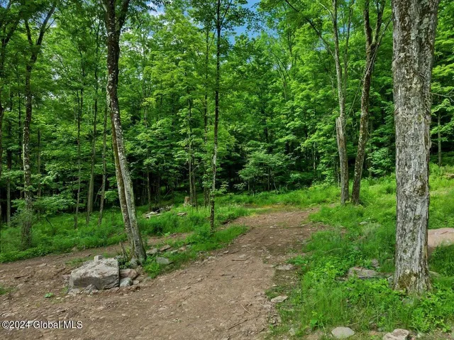 $1,000,000 | 613 Betty Brook Road, Kortright, NY 13842