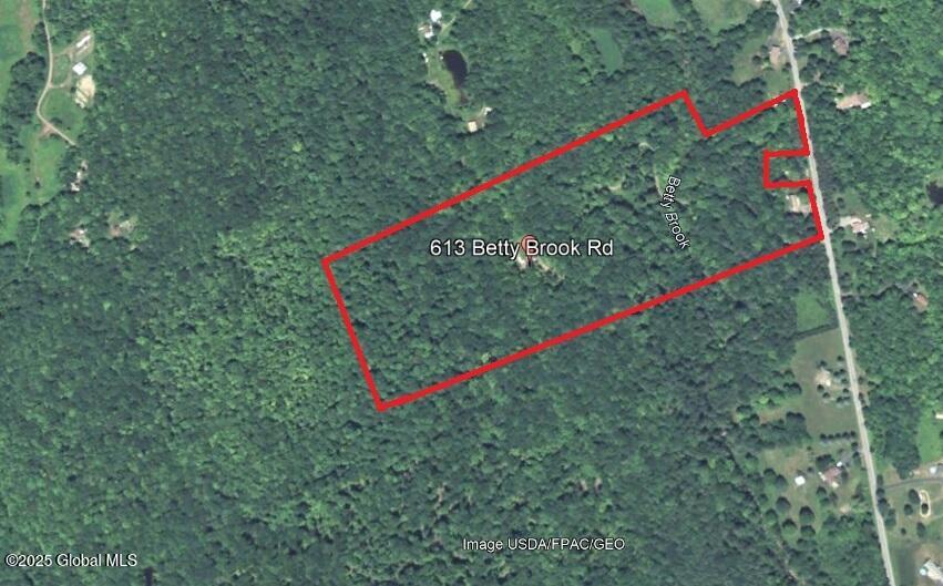 613 Betty Brook Road Kortright, NY 13842 - Photo 65 of 67 613 google lines