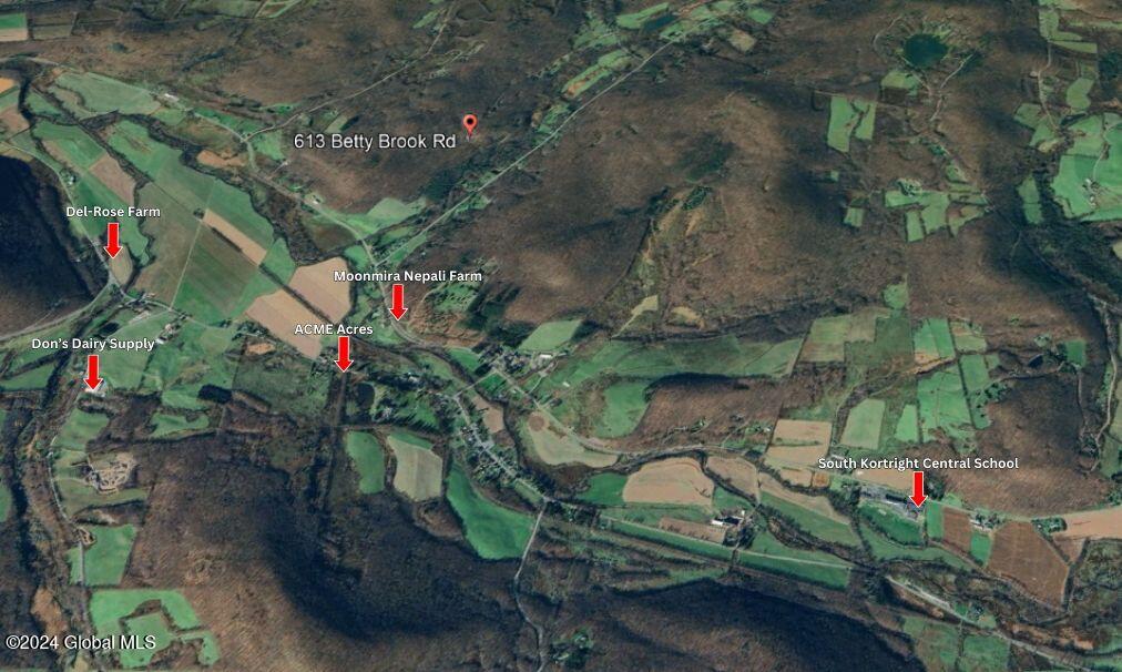 613 Betty Brook Road Kortright, NY 13842 - Photo 67 of 67 613 Betty Brook Rd Points
