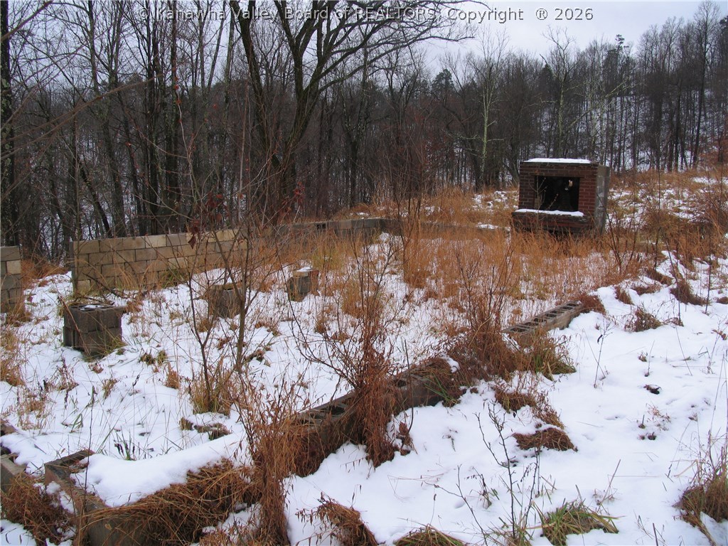 0 Foster Ridge Road Evans, WV 25241 - Photo 6 of 12 Gallery Image 6