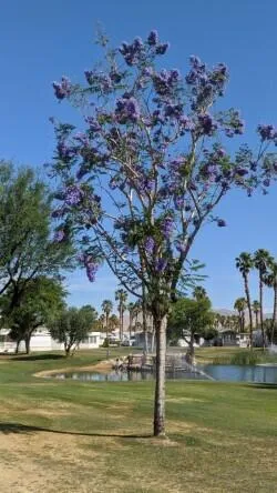 a view of roof deck with seating area
