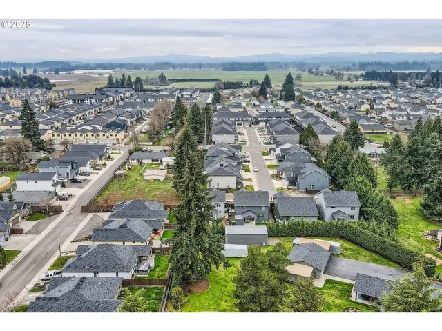 a aerial view of a house with a yard and large tree