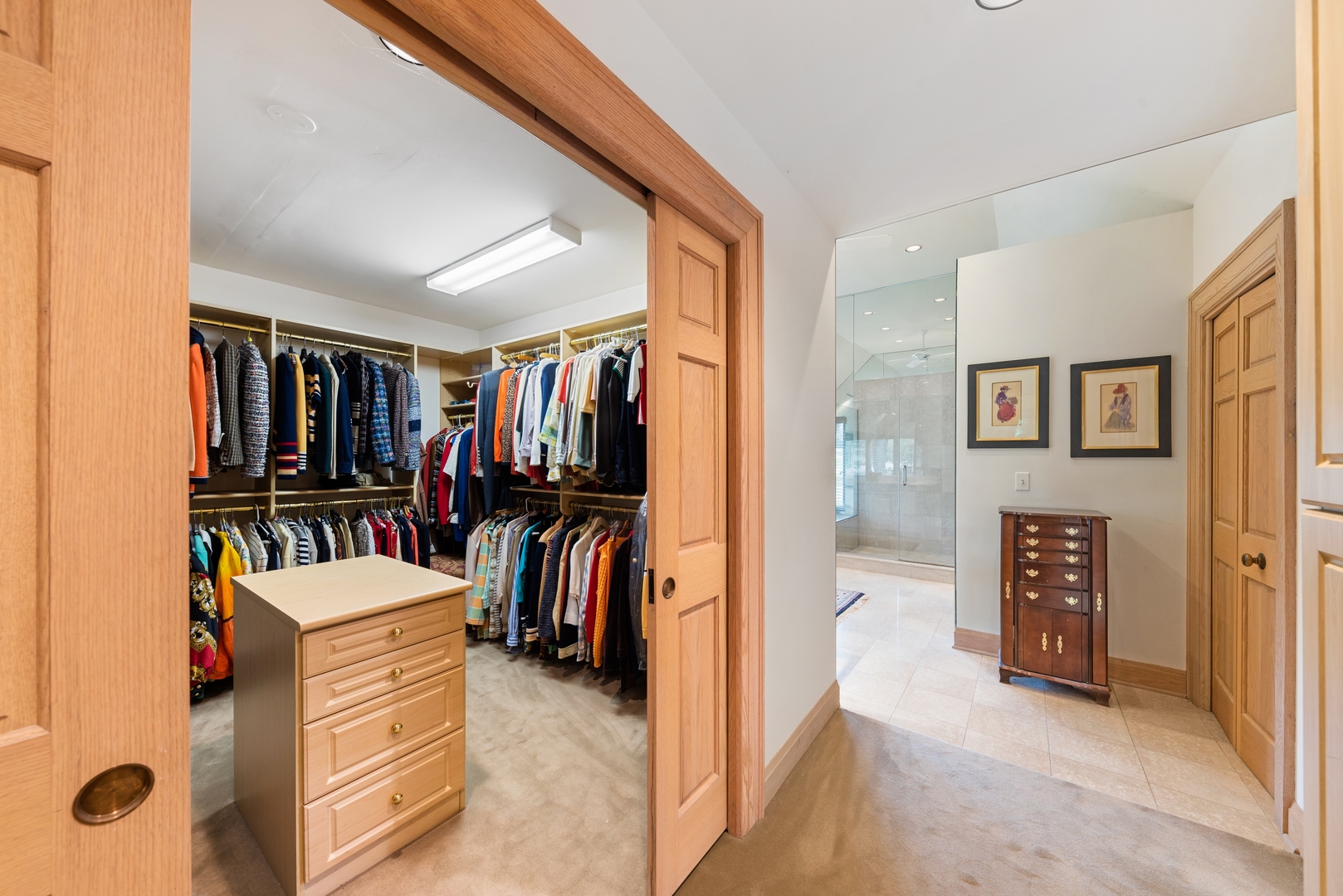 9 South Wynstone Drive North Barrington, IL 60010 - Photo 15 of 31 a view of walk in closet with clothes and shoes