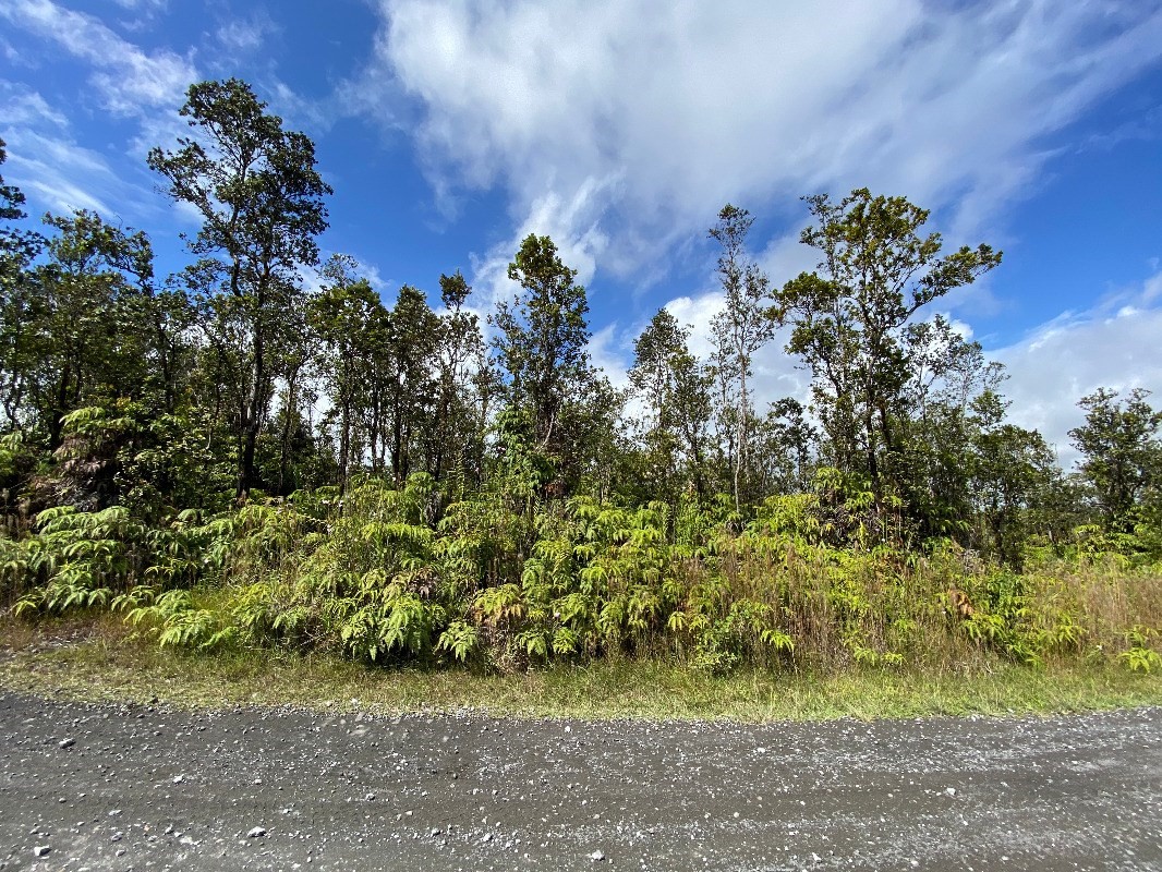 28 Kaleponi Road Pahoa, HI 96778 - Photo 1 of 10 Gallery Image 1
