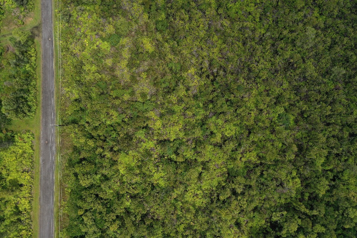 28 Kaleponi Road Pahoa, HI 96778 - Photo 9 of 10 Gallery Image 9