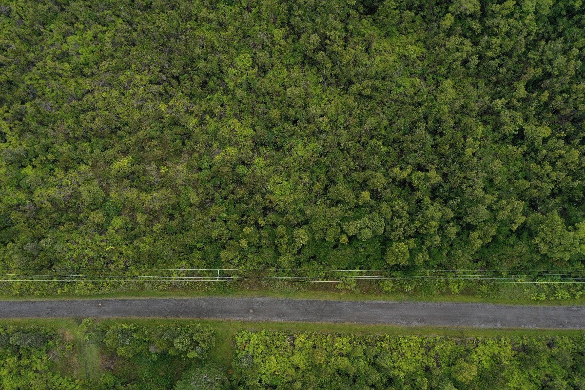 28 Kaleponi Road Pahoa, HI 96778 - Photo 10 of 10 Gallery Image 10