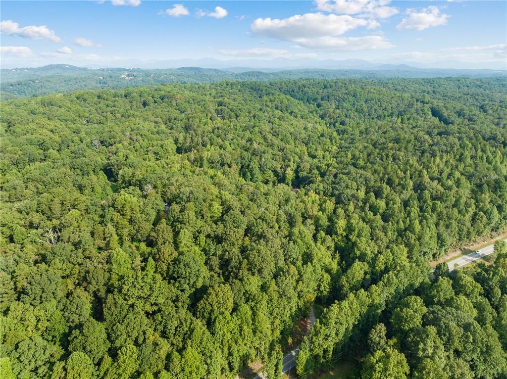 2041 Long Branch Road Dahlonega, GA 30533 - Photo 11 of 23 a view of a green field with lots of bushes