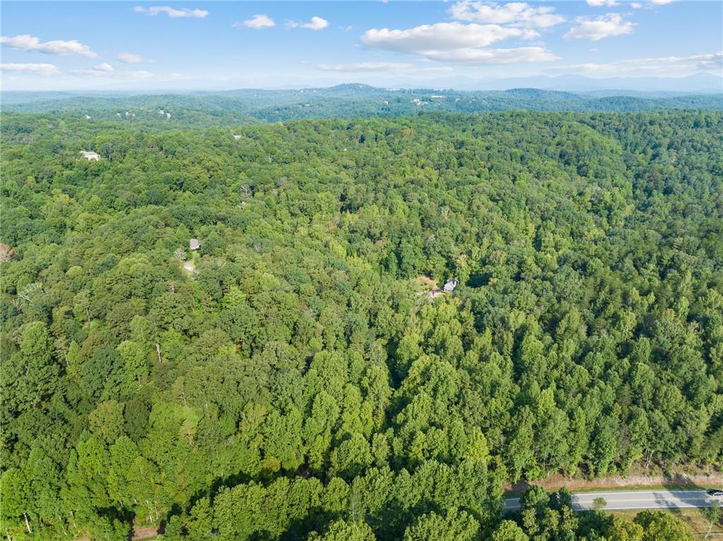 2041 Long Branch Road Dahlonega, GA 30533 - Photo 12 of 23 a view of a green field with lots of bushes