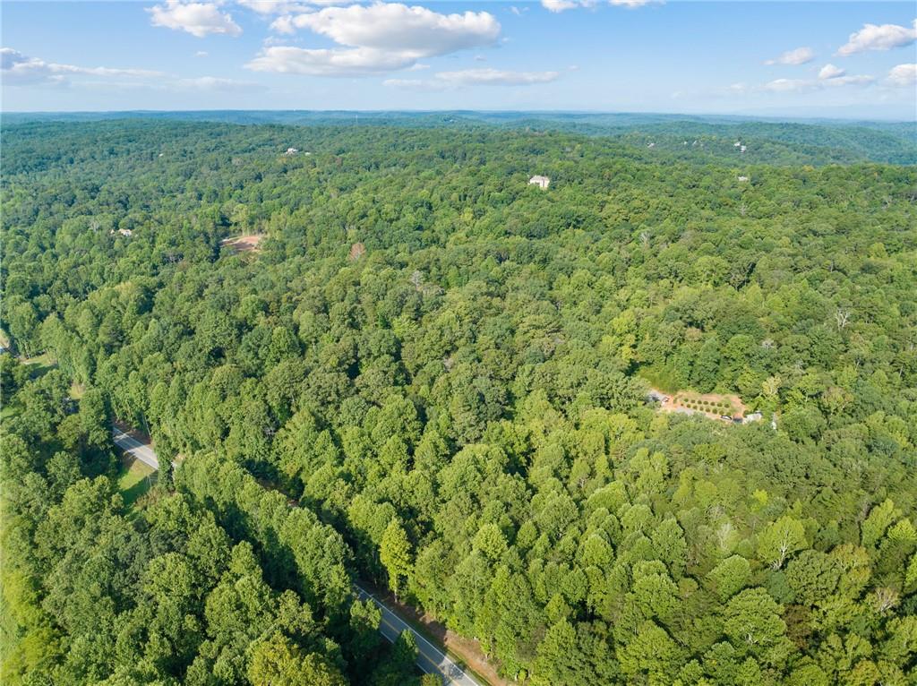 2041 Long Branch Road Dahlonega, GA 30533 - Photo 13 of 23 a view of a big yard with plants and large trees