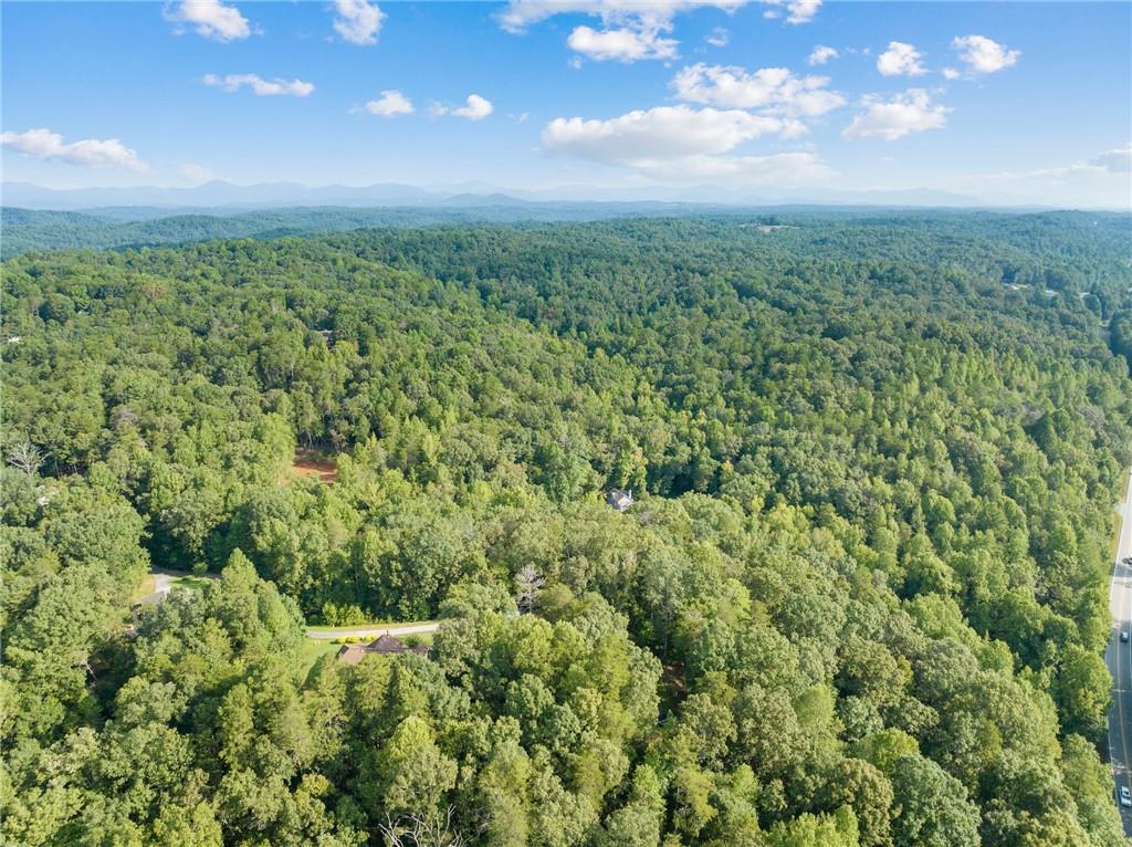 2041 Long Branch Road Dahlonega, GA 30533 - Photo 14 of 23 a view of a green field with lots of bushes