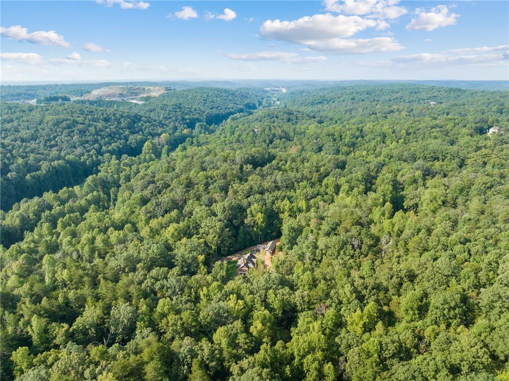 2041 Long Branch Road Dahlonega, GA 30533 - Photo 15 of 23 a view of a green field with lots of bushes