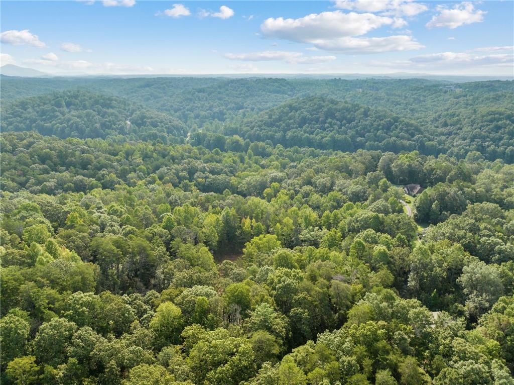 2041 Long Branch Road Dahlonega, GA 30533 - Photo 16 of 23 an aerial view of residential houses with outdoor space and trees