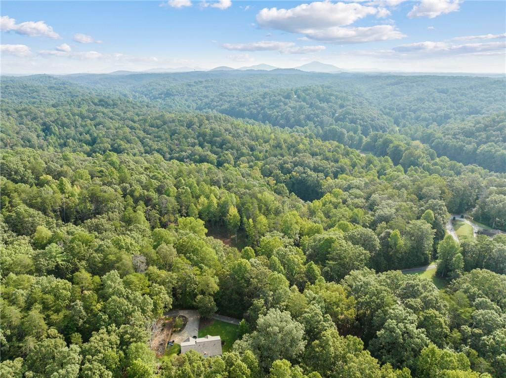 2041 Long Branch Road Dahlonega, GA 30533 - Photo 17 of 23 a view of a forest with an trees