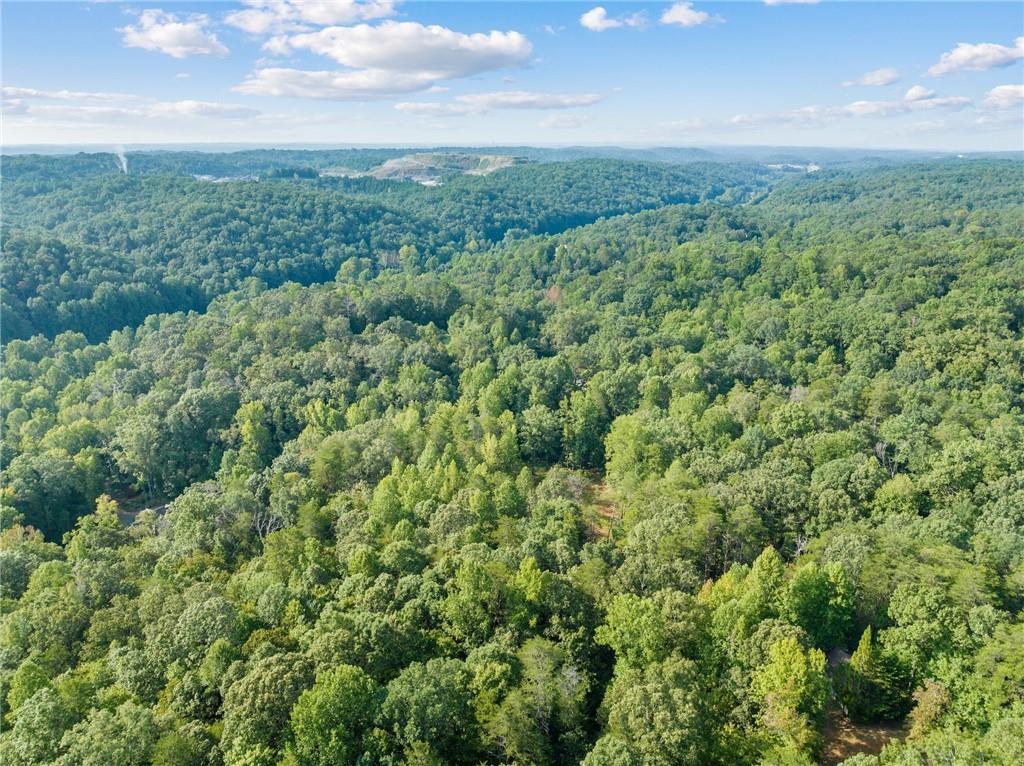 2041 Long Branch Road Dahlonega, GA 30533 - Photo 18 of 23 an aerial view of residential houses with outdoor space and trees