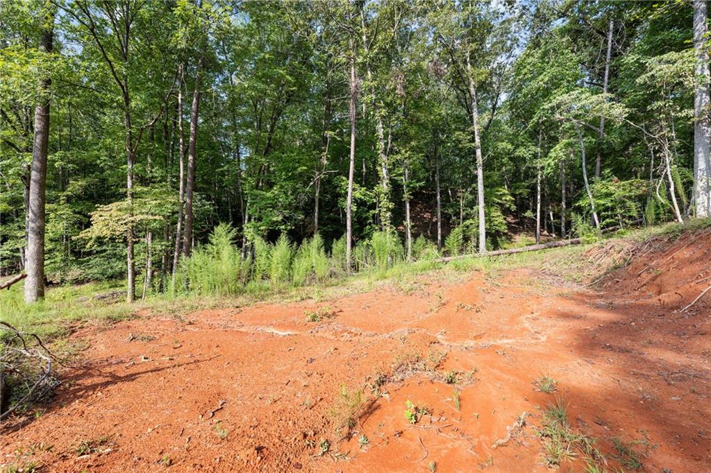 2041 Long Branch Road Dahlonega, GA 30533 - Photo 21 of 23 a pathway of a yard