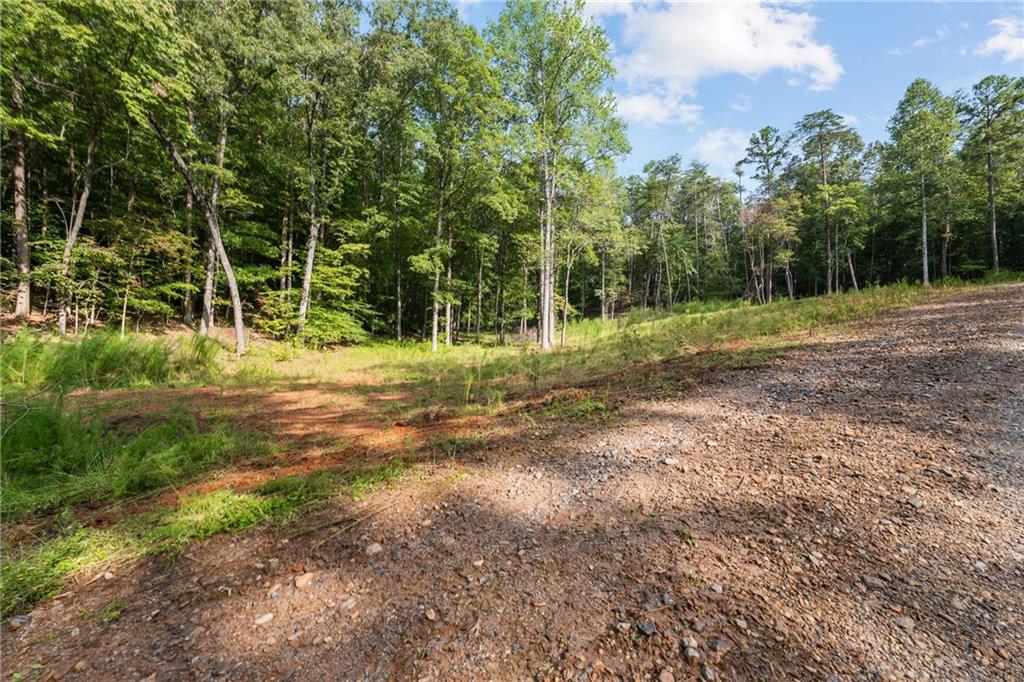 2041 Long Branch Road Dahlonega, GA 30533 - Photo 23 of 23 a view of a park