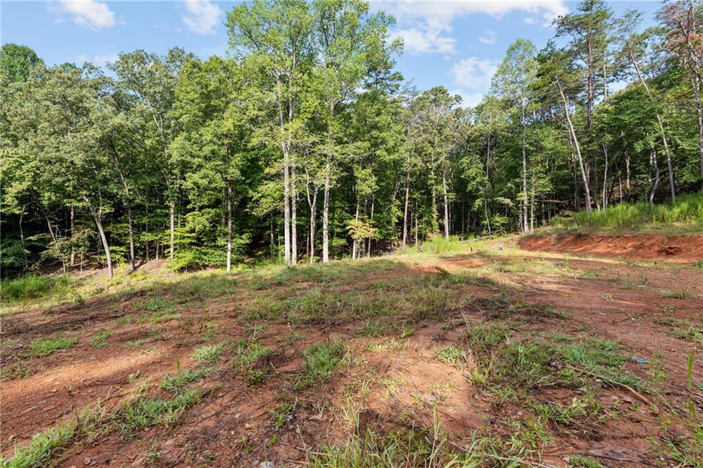 2041 Long Branch Road Dahlonega, GA 30533 - Photo 3 of 23 a backyard of a house with lots of green space