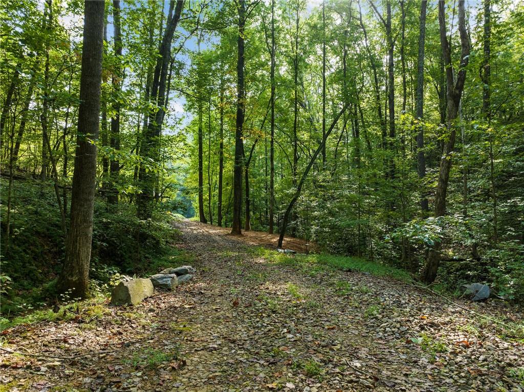 2041 Long Branch Road Dahlonega, GA 30533 - Photo 4 of 23 a big yard with lots of green space and house view